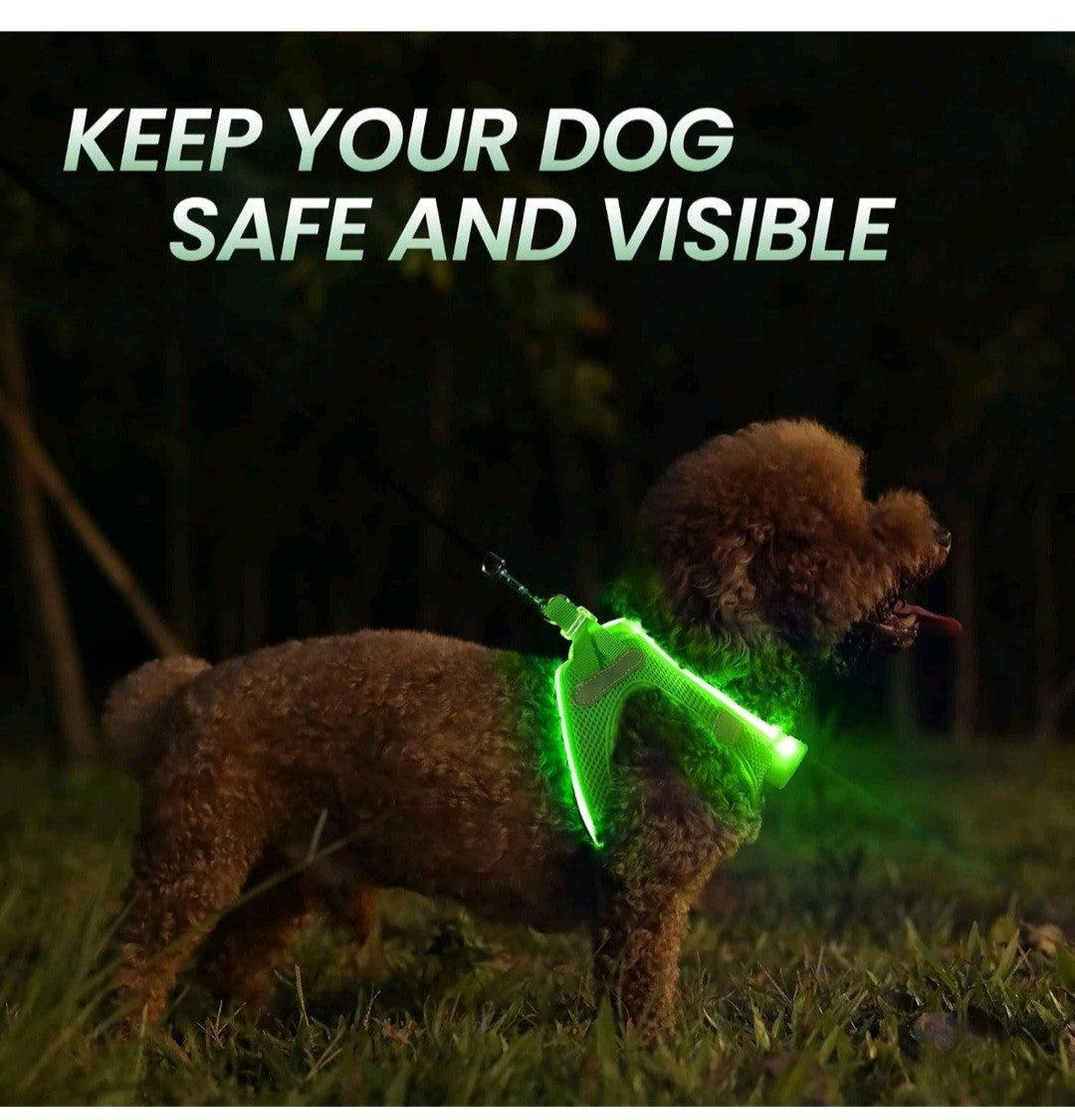 LED Light Up Dog Harness Reflective Green XS Night Safety Walking Glow USB New