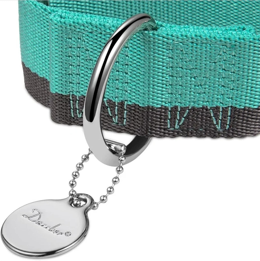 NEW Dazzber 1.5" Wide Martingale Dog Collar Large L - Mint Blue & Grey
