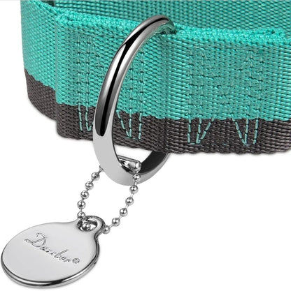 NEW Dazzber 1.5" Wide Martingale Dog Collar Large L - Mint Blue & Grey