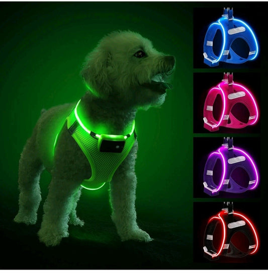 LED Light Up Dog Harness Reflective Green XS Night Safety Walking Glow USB New