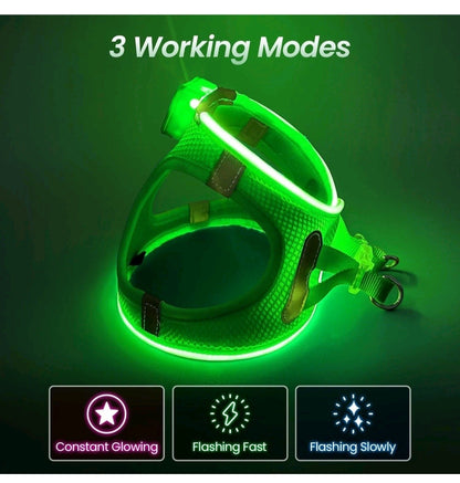 LED Light Up Dog Harness Reflective Green XS Night Safety Walking Glow USB New